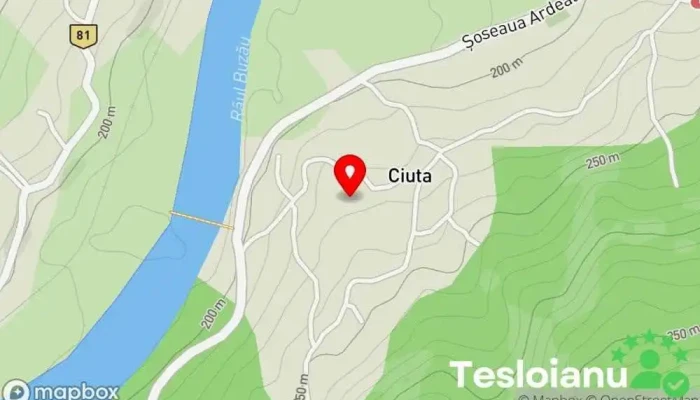 hartă a Ciuta  în Ciuta