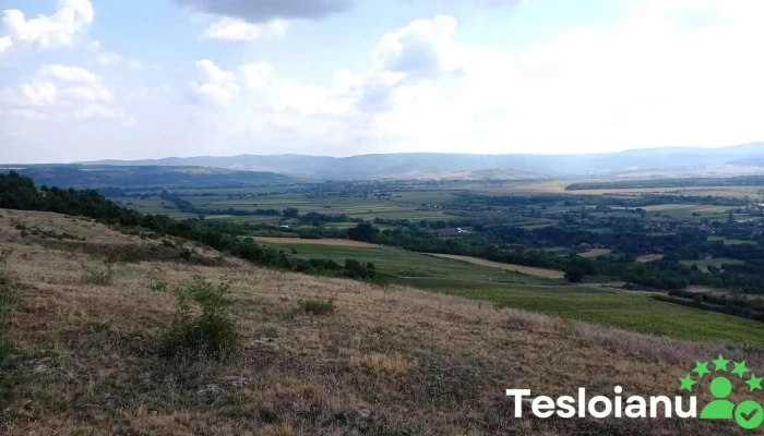 Ciutelec -  Zonă - Ciutelec