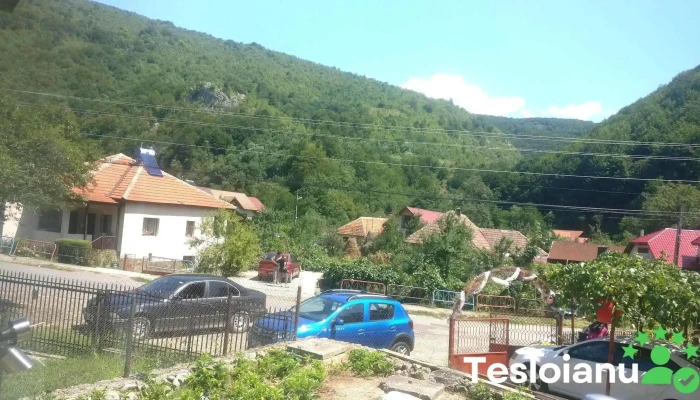 Closani Reduceri - Cloșani
