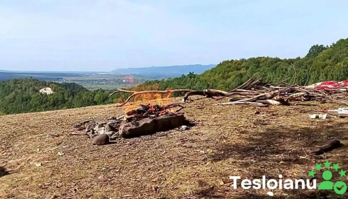 Coas Videoclipuri - Coaș