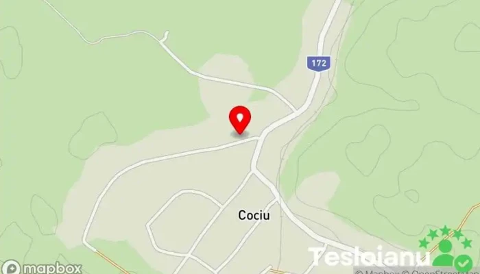 hartă a Cociu  în Cociu