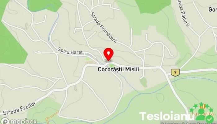 hartă a Cocorăștii Mislii  în Cocorăștii Mislii