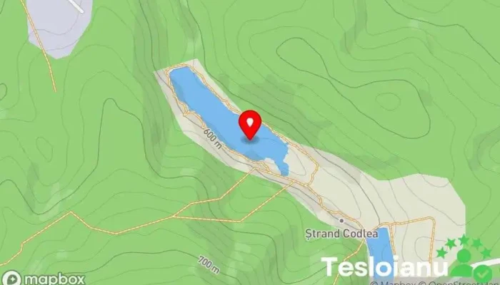 hartă a Codlea Lac în 