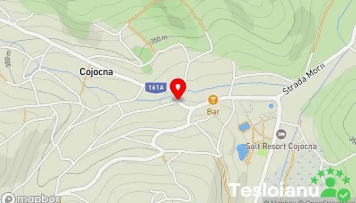 hartă a Cojocna  în Cojocna