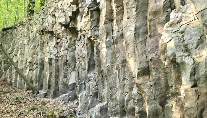 Coloanele De Bazalt De La Piatra Cioplita Promoție - Comăna De Sus