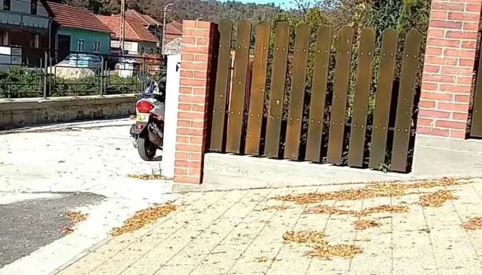 Colonia Fabricii -  Videoclipuri - Colonia Fabricii