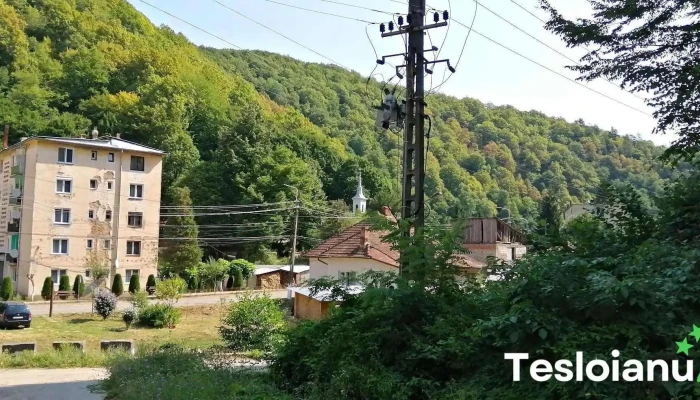 Colonia Fabricii -  Zonă - Colonia Fabricii