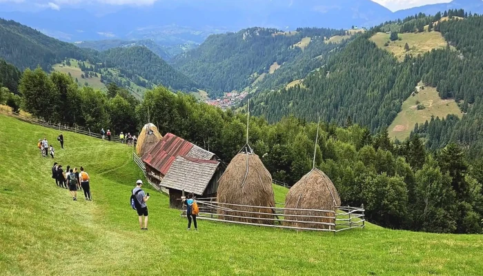 Coltii Bisericutei Site Web - Moieciu De Sus
