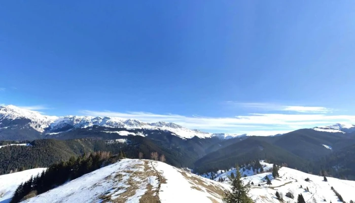 Coltii Bisericutei Street View Si 360deg - Moieciu De Sus