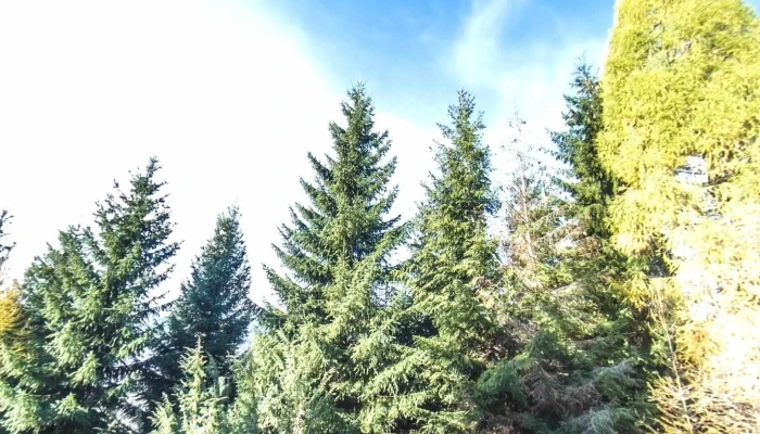 Comarnic -  Street View Si 360deg - Comarnic