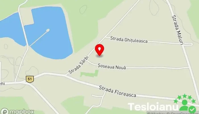 hartă a Comișani  în Comișani