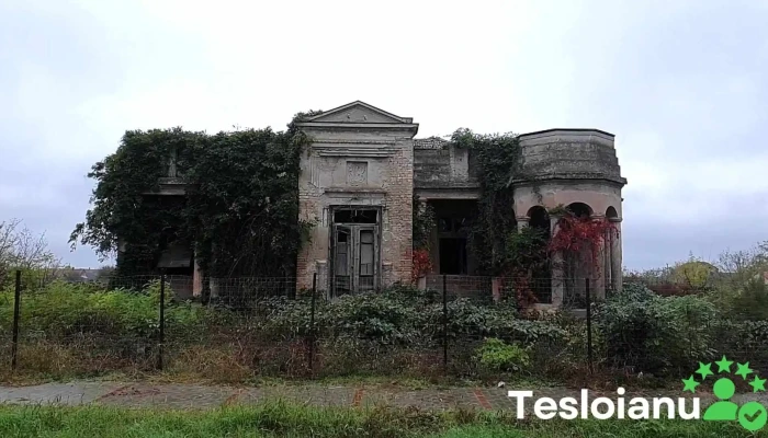 Comlosu Mare Telefon - Comloșu Mare