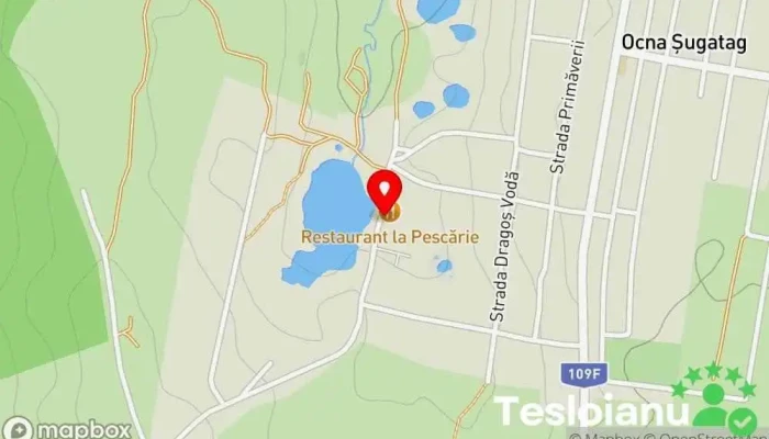 hartă a Complex Turistic Lacul Sarat Ocna Sugatag Restaurant, Cazare în Ocna Șugatag