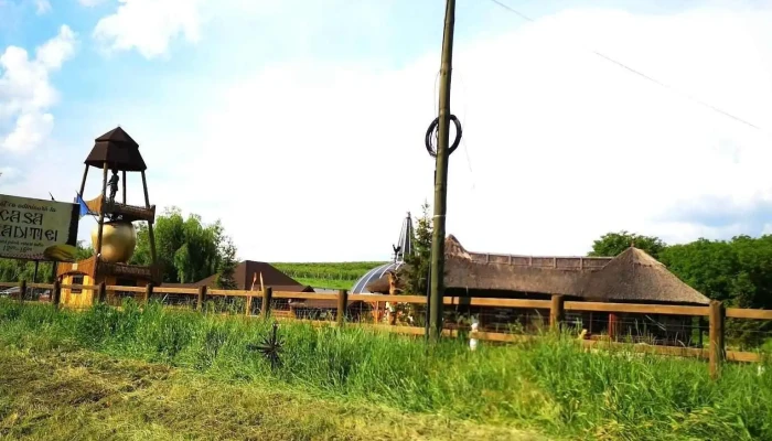 Comuna Albesti Telefon - Romania