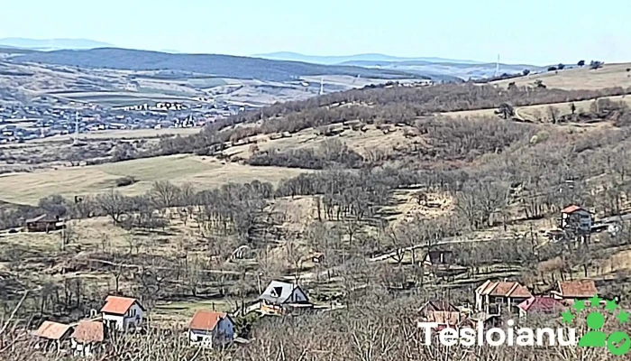 Comuna Baciu -  Zonă - Romania