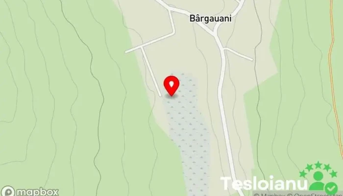 hartă a Comuna Bârgăuani  în 