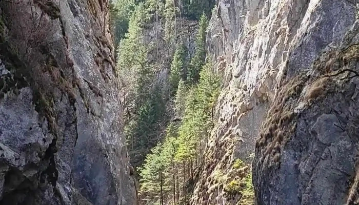 Comuna Bicaz Chei Videoclipuri - Romania