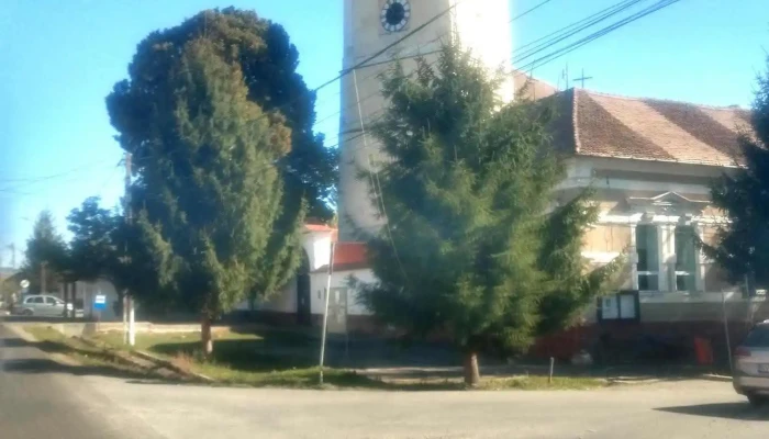 Comuna Bod -  Zonă - Romania