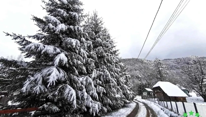 Comuna Bradulet Reduceri - Romania