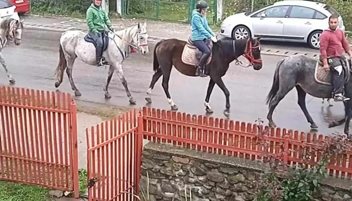 Comuna Branesti Videoclipuri - Romania