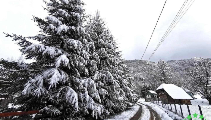 Comuna Brăduleț - Romania