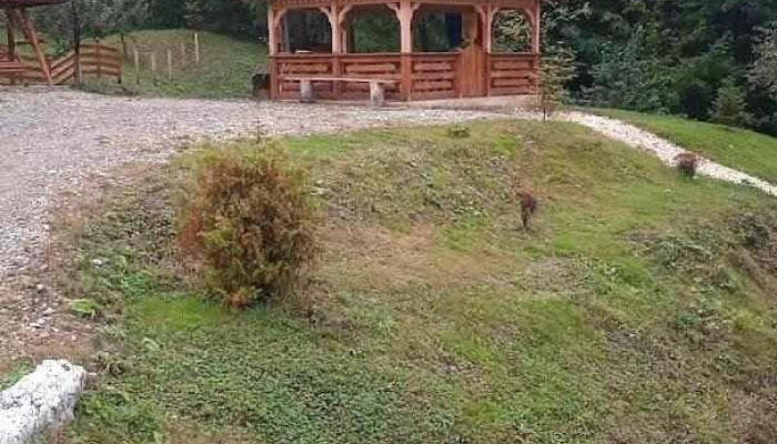 Comuna Brănești - Romania