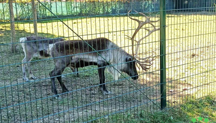 Comuna Buciumi -  Aproape De Mine - Romania