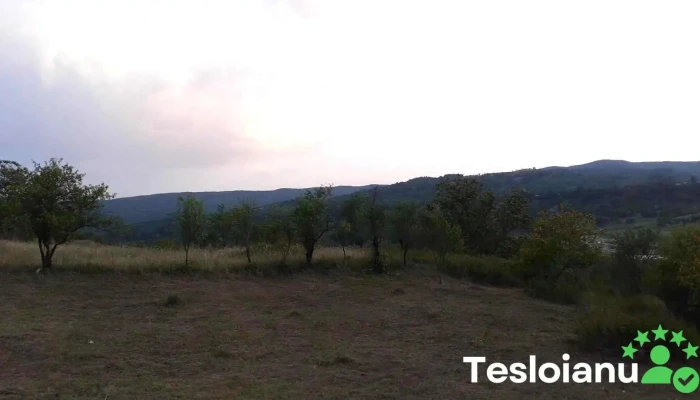 Comuna Buda -  Videoclipuri - Romania