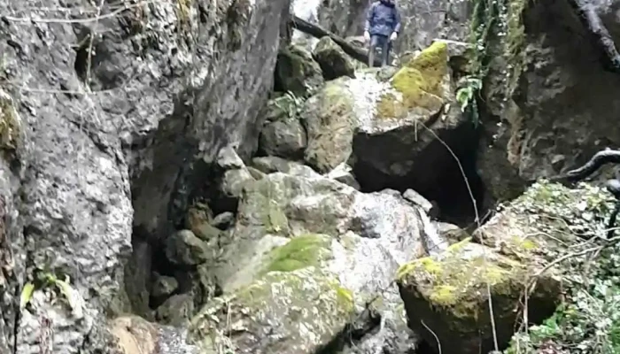 Comuna Bulzestii De Sus Videoclipuri - Romania