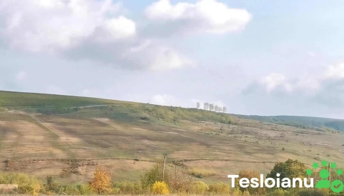 Comuna Bunesti Averesti Videoclipuri - Romania