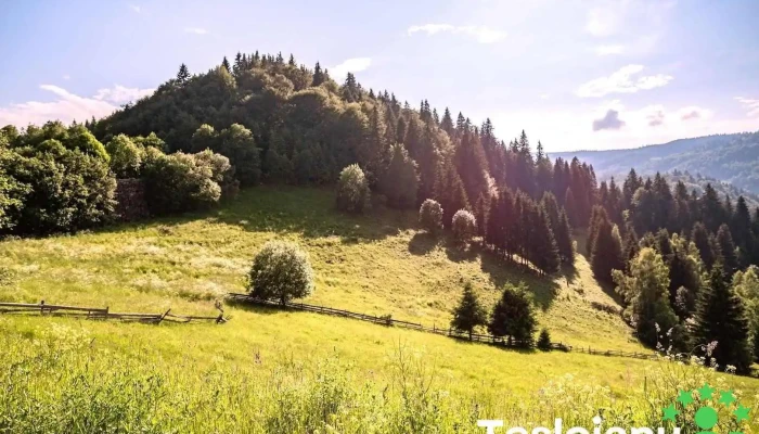 Comuna Băișoara - Romania