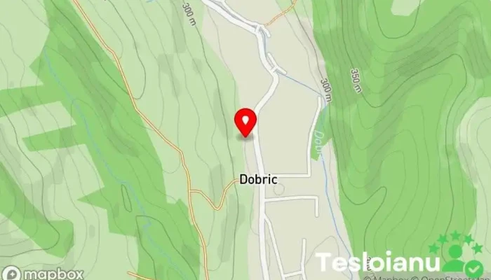 hartă a Comuna Căianu Mic  în 