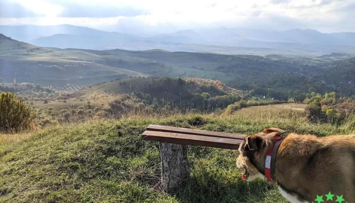 Comuna Calatele Munte - Romania
