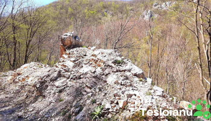 Comuna Carasova Munte - Romania