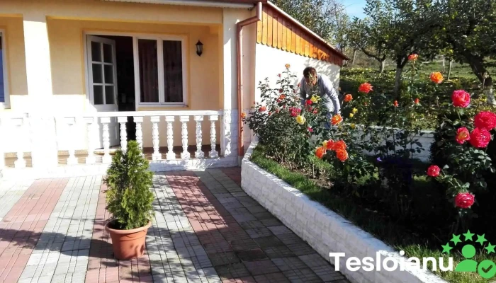 Comuna Cetatea De Balta Locație - Romania