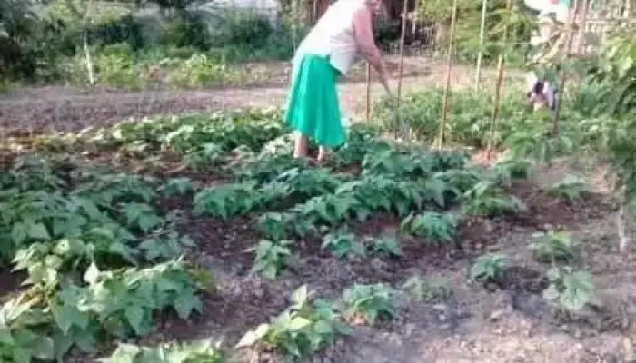 Comuna Colibasi Videoclipuri - Romania
