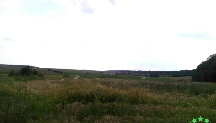 Comuna Crevedia Mare -  Cum Să Ajungi Acolo - Romania