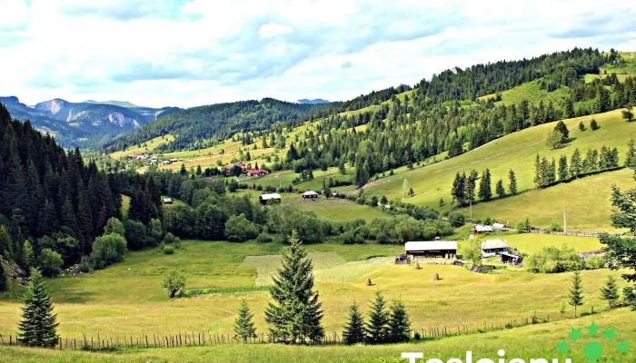 Comuna Damuc Munte - Romania