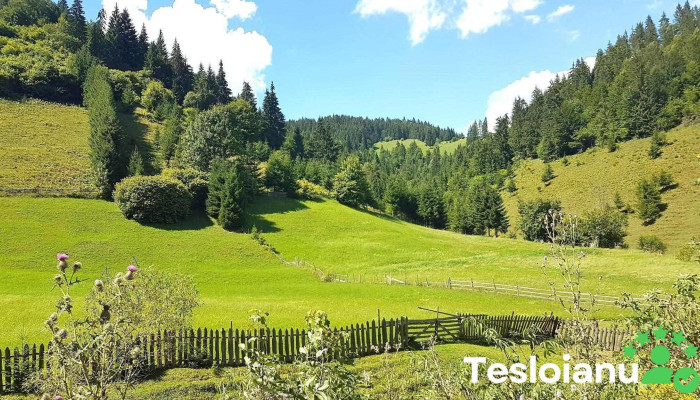 Comuna Damuc Unde - Romania