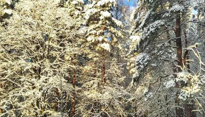 Comuna Davidesti Locație - Romania