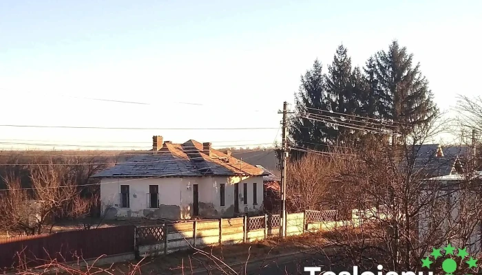 Comuna Dragomiresti Număr - Comuna Dragomirești