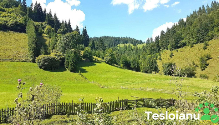 Comuna Dămuc - Romania