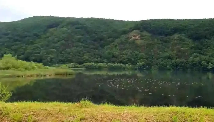 Comuna Gilau Videoclipuri - Romania