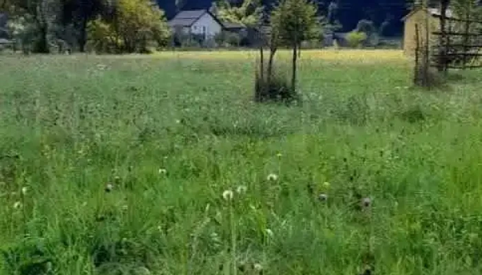 Comuna Leordina - Romania