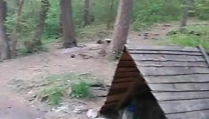 Comuna Lipnita Videoclipuri - Romania