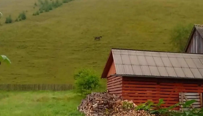 Comuna Lunca De Jos -  Prețuri - Romania