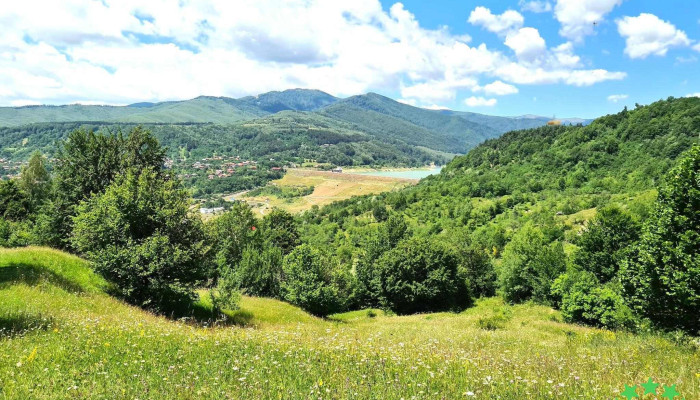 Comuna Maneciu Program - Romania