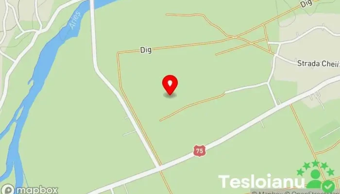 hartă a Comuna Mihai Viteazu  în 