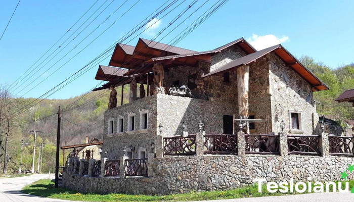 Comuna Ocna De Fier -  Program - Romania