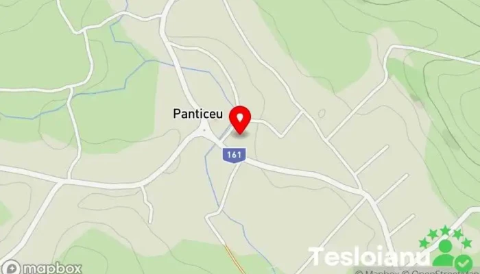 hartă a Comuna Panticeu  în 